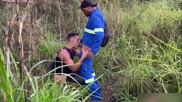 Seguiu o trabalhador no mato pra olhar ele mijar e acabou caindo de boca. vídeo completo no red