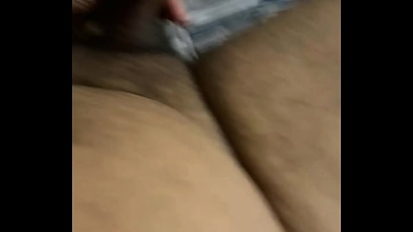 Urso na punheta