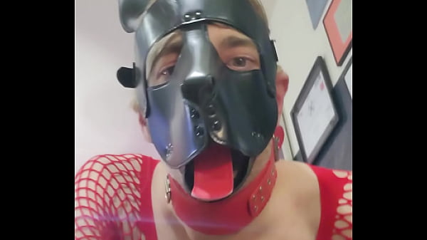 Doggyray