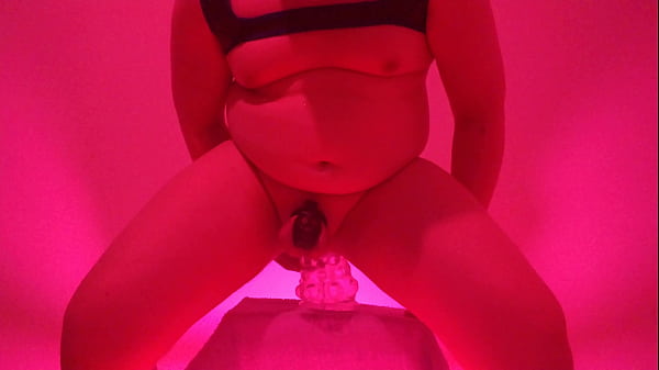 locked puppy trying out a new toy