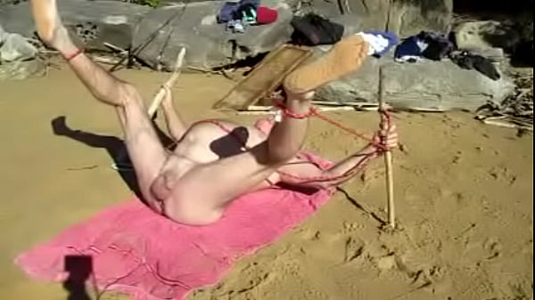 tied up doggie