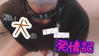 “Woof ♡ Woof ♡” estrus of a pet dog wearing a sweatshirt