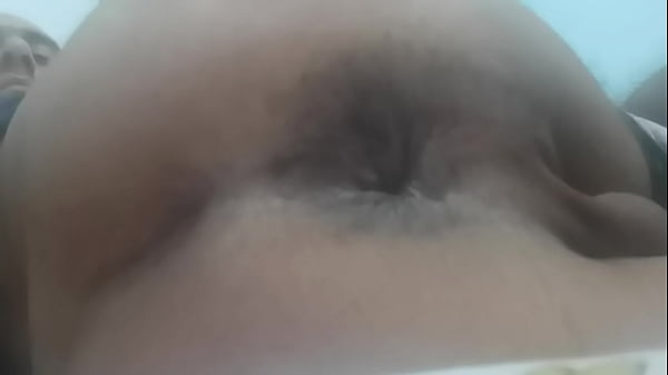 ToiletPigAhmed
