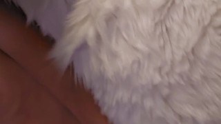 @LewdMindedLynx helps @AngryBarks through his rut week 🔥 cums inside 💦 and on his feet paws 🐾