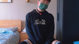 This time it’s a kitty costume