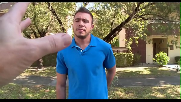 Wild wang riding inside a car