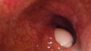 POV – Shoving you in deep with a 12in dildo